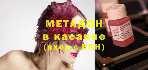 прущие грибы Михайлов