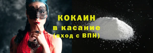 прущие грибы Михайлов