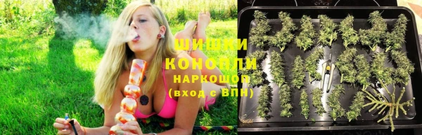 МДПВ Мегион