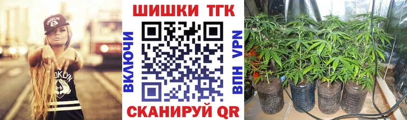 Каннабис сатива  kraken как войти  Ермолино 
